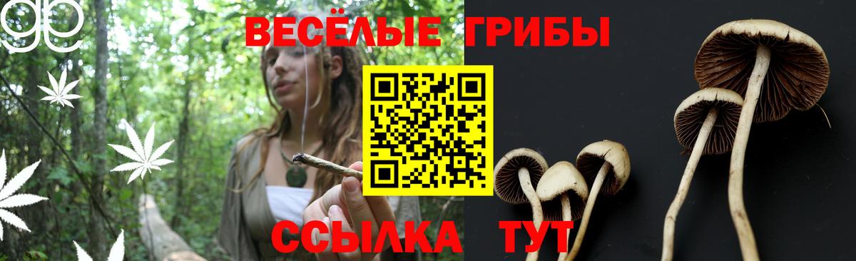 Псилоцибиновые грибы Psilocybine cubensis  Вход с VPN  Сочи 